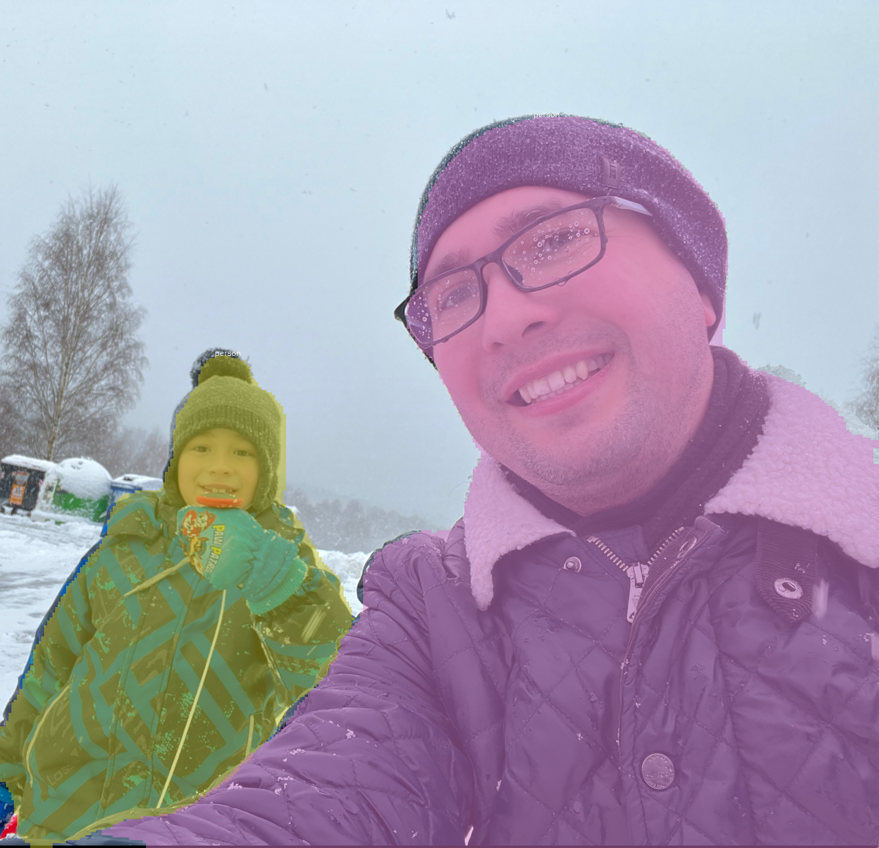 Instance segmentation picture